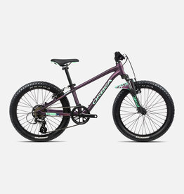 Orbea 2022 Orbea MX 20 XC