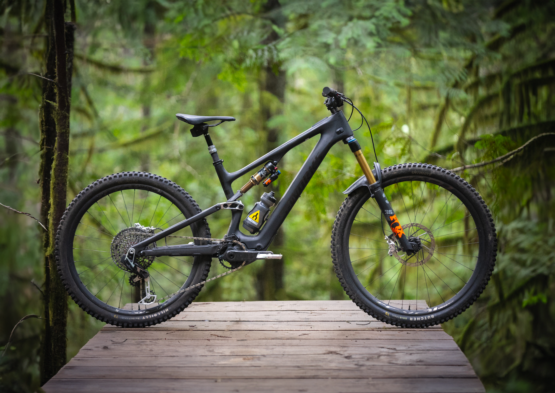 Specialized Levo vs. Levo SL: Power or Playful?