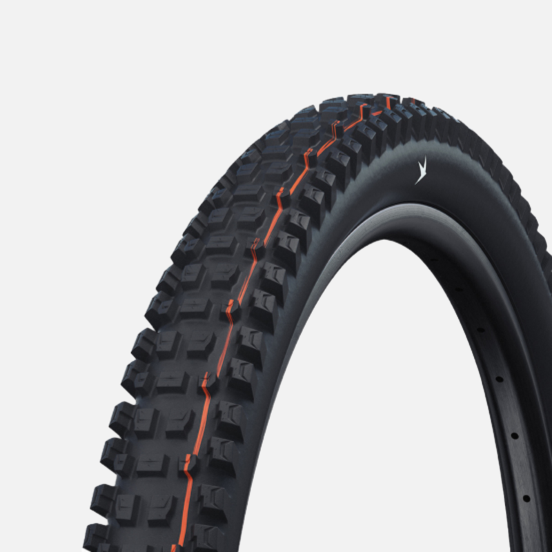 Schwalbe Schwalbe Albert Gravity Pro Evo Radial TLR 29x2.6 Black