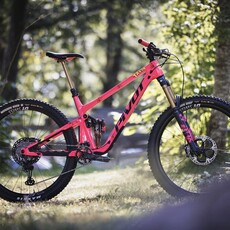 Pivot 2024 Pivot Switchblade V6 Team XX Eagle (Rare LTD Edition)