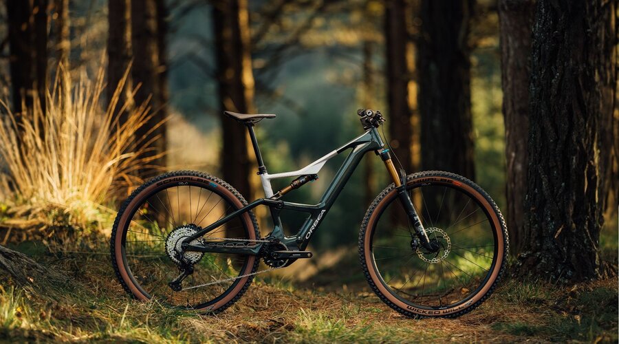 The 2025 Orbea Rise: Power Meets Playfulness