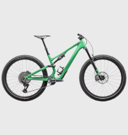 2025 Specialized Stumpjumper 15 Expert
