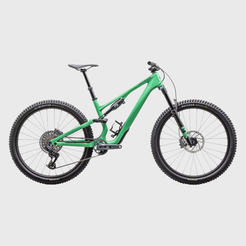 2025 Specialized Stumpjumper 15 Expert