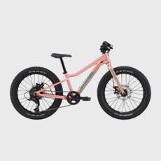 Cannondale Cannondale Kids Trail Plus 20"