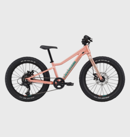 Cannondale Kids Trail Plus 20"