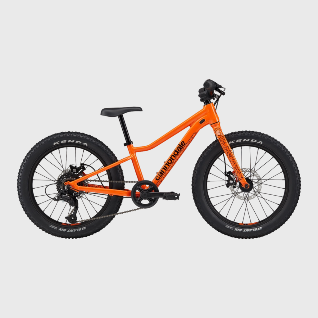 Cannondale Kids Trail Plus 20"