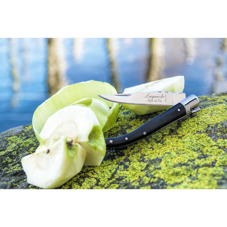 Laguiole Style de Vie Laguiole Style de Vie zakmes zwart pakkahout