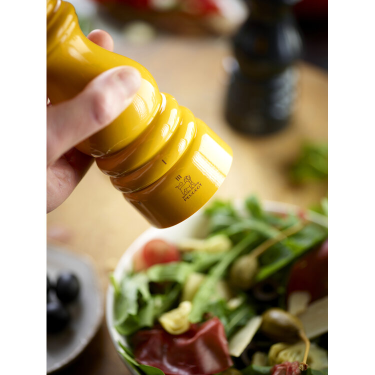 Peugeot Peugeot ParisRama pepermolen 18 cm, leisteen, hout, u'Select