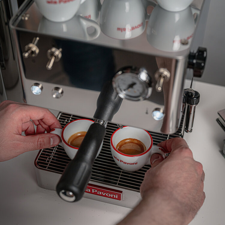 La Pavoni La Pavoni Koffiemachine Casa Bar, Zilver, LPMCBS01EU