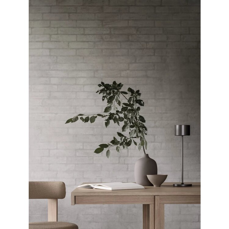 Blomus Vaas CEOLA satelliet, 19 cm