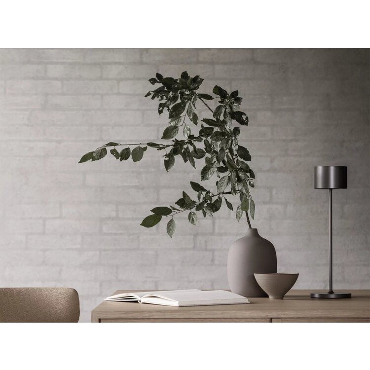 Blomus Vaas CEOLA satelliet, 19 cm