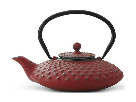 Bredemeijer Asia Xilin theepot 0,8 liter