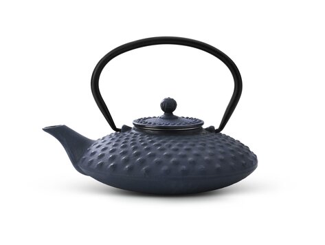 Bredemeijer Asia Xilin theepot 0,8 liter
