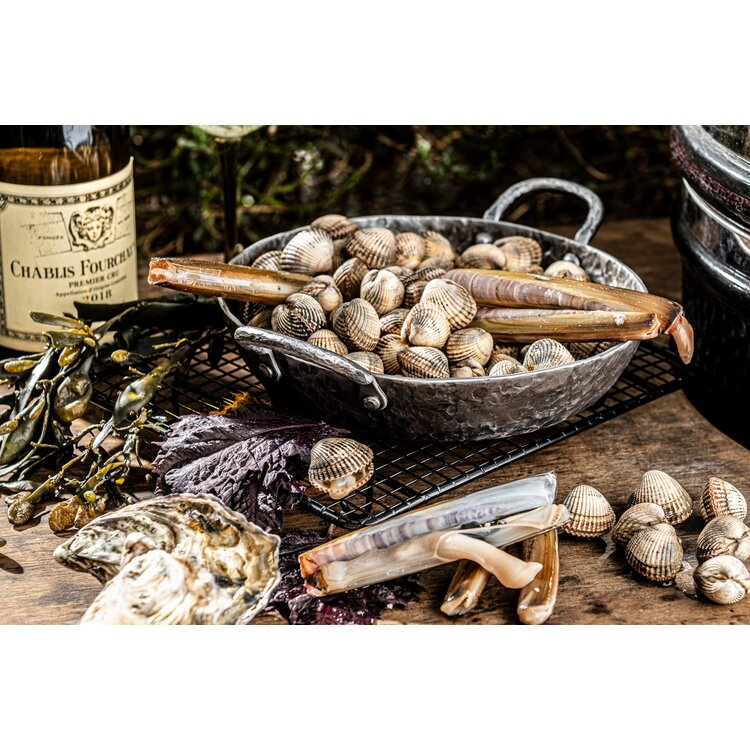 Forged Forged Essentials Koekenpan 2 handvatten, 20cm