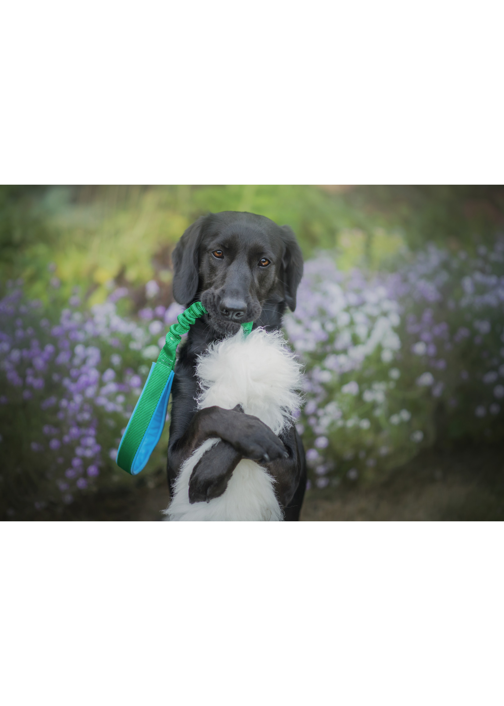 Zayma Craft Sheepskin Tug Toy with bungee handle L