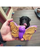 https://cdn.webshopapp.com/shops/315328/files/386693123/168x224x2/sodapup-butterfly-nylon-chew-enrichment-toy.jpg