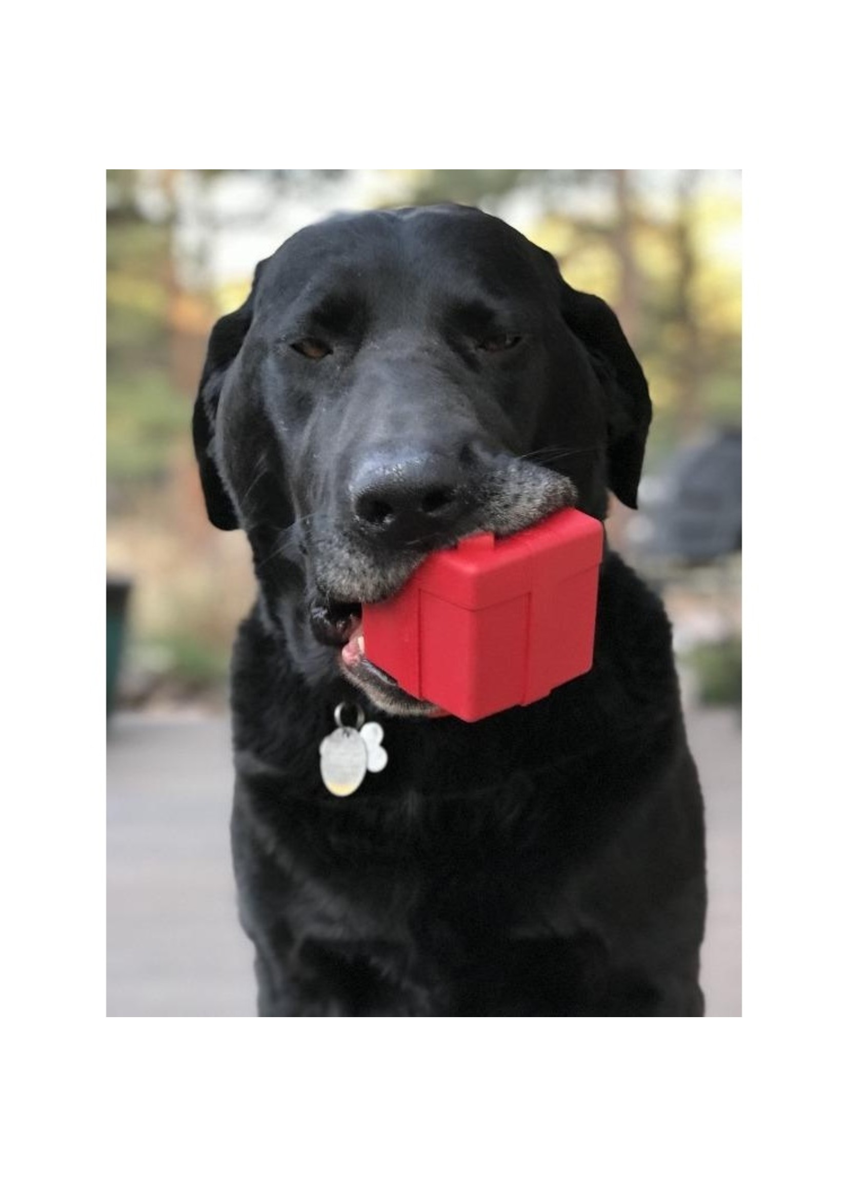 SodaPup SodaPup Gift Box Durable Rubber Chew Toy & Treat Dispenser - Red