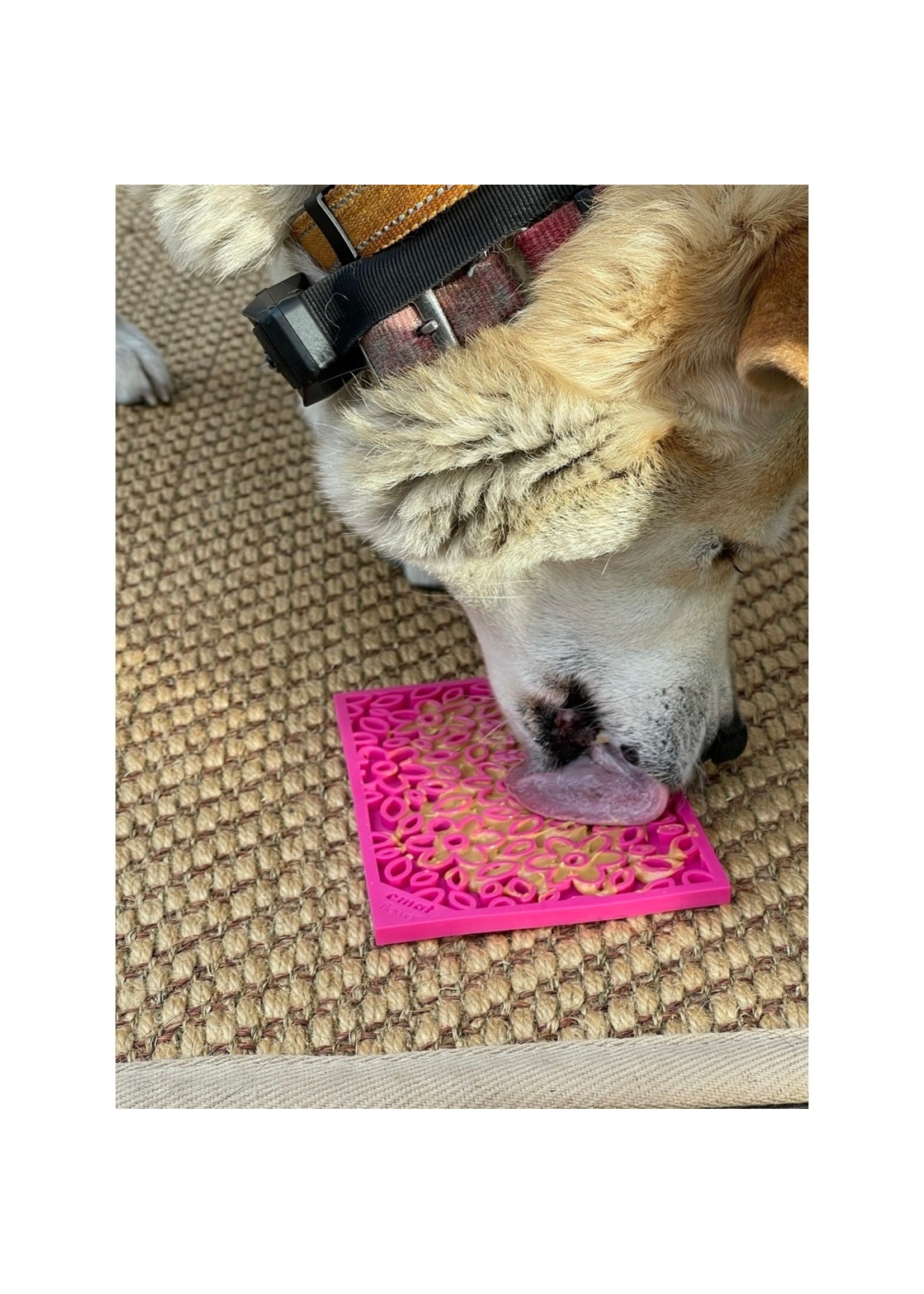 SODA PUP, Flower Power Lick Mat (Made in the USA)