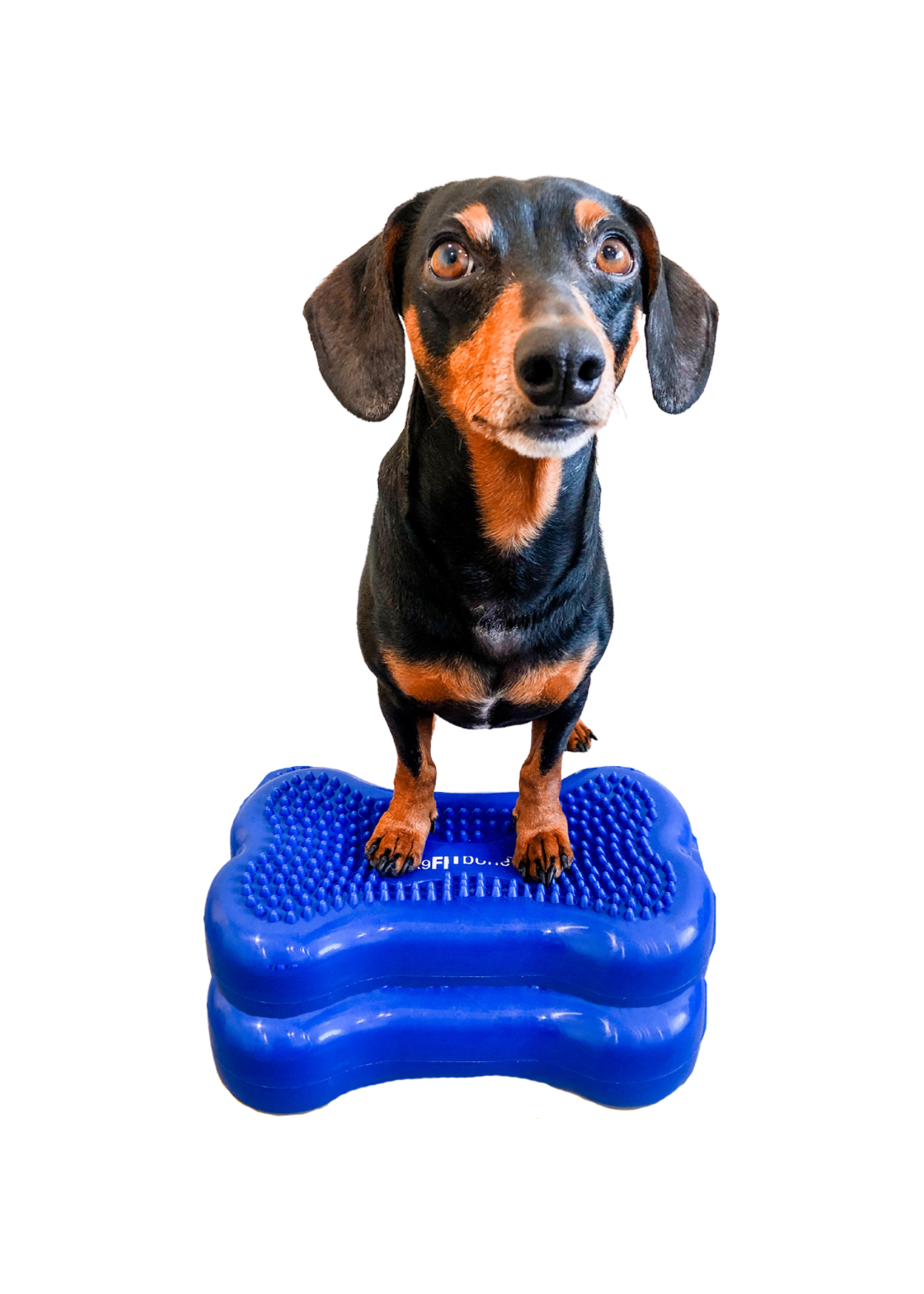 FitPaws® FitPaws® K9FITbones™ Minis set van 2