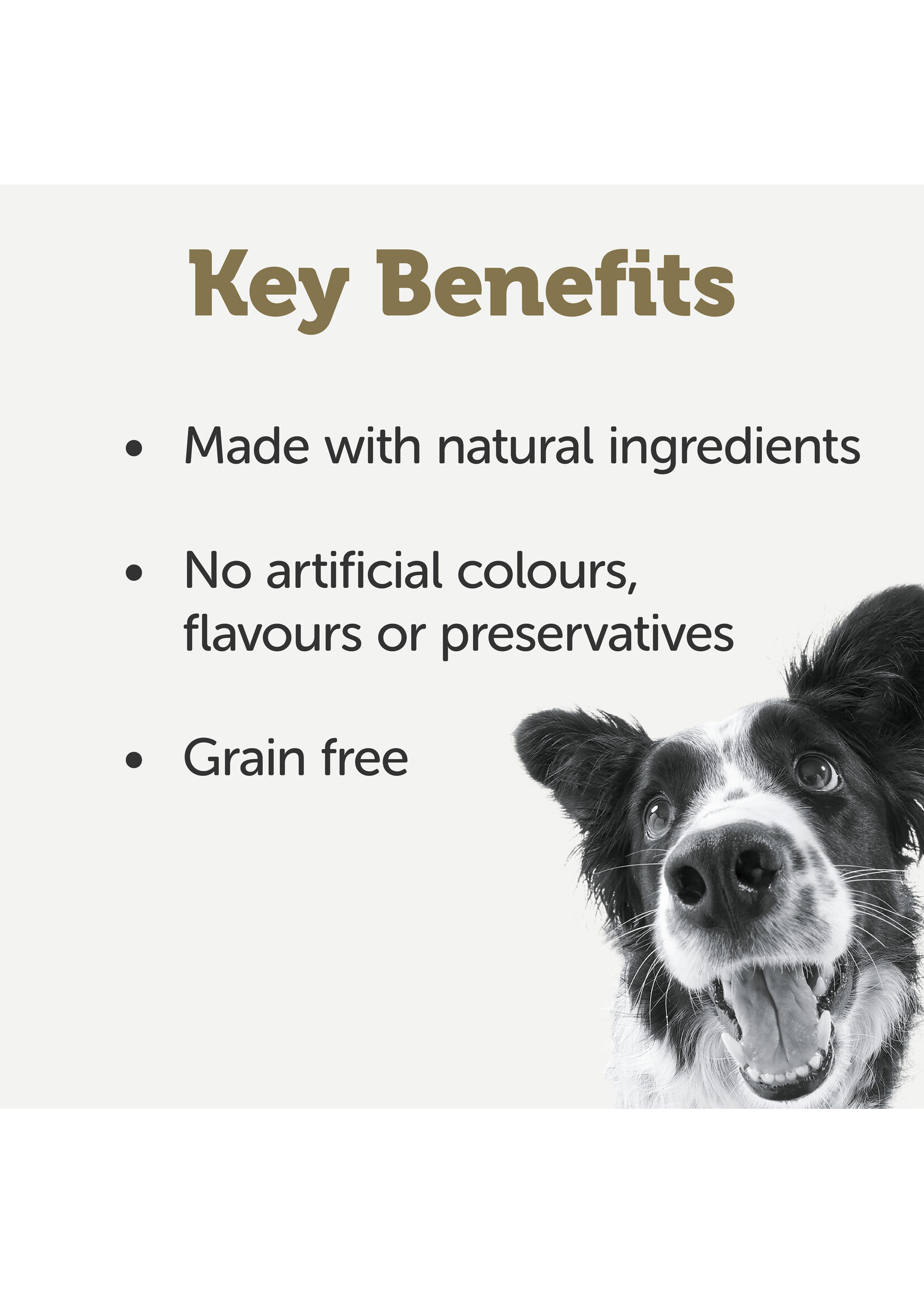 Applaws DOG TASTE TOPPERS MP in Gravy 8 x 156 gr.