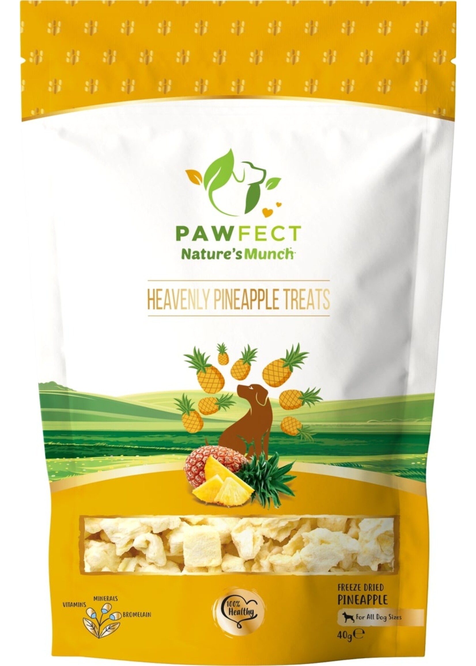 Pawfect Treats Pawfect Natures Munch Dog Treats PINEAPPLE 40 gr.