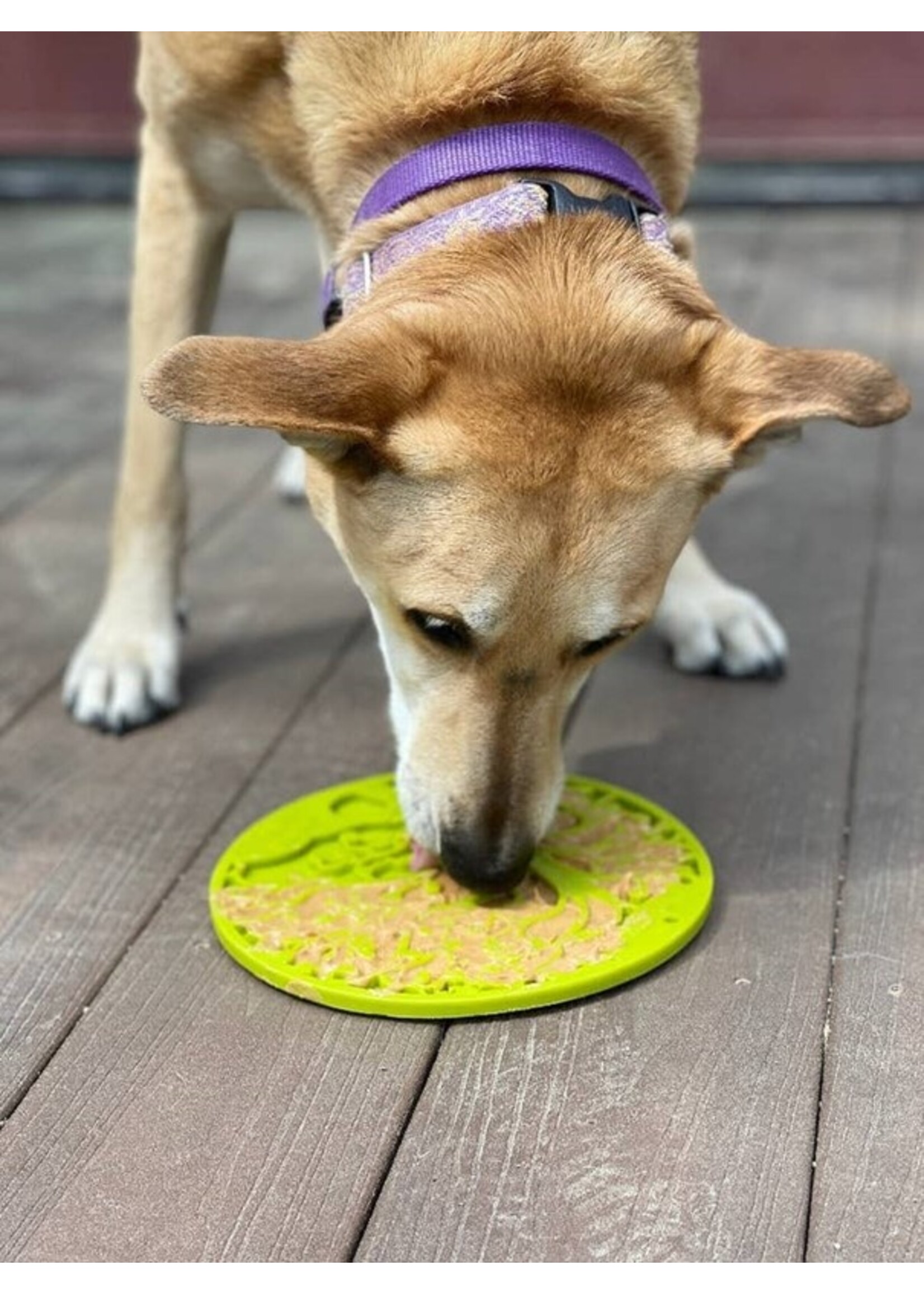 SodaPup Tree of Life Design eMat Enrichment Lick Mat With Suction Cups