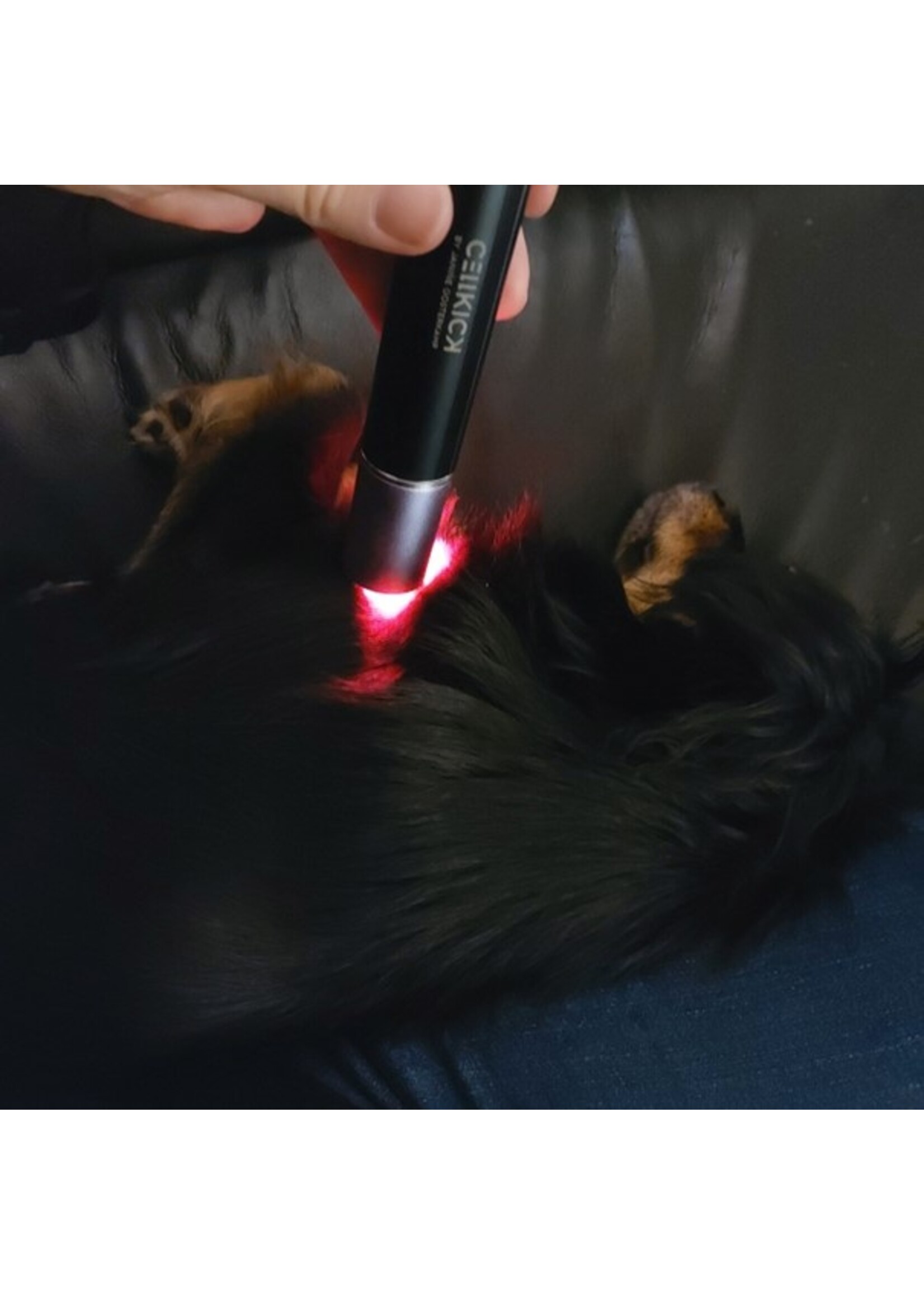 CellKick Low Level Laser Core - Red light therapy