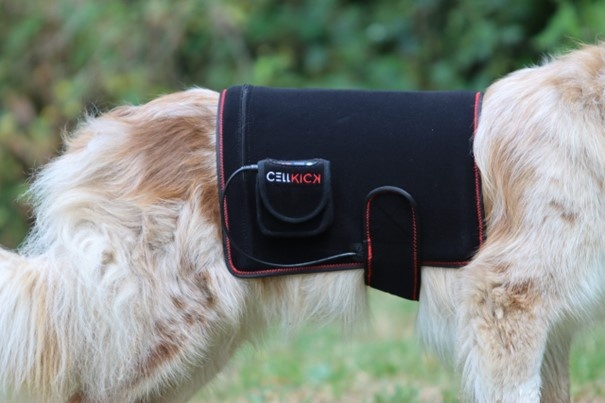 Huisdier Hond Kat Rode Infrarood Licht Pad Riem, Huisdier Rood Licht