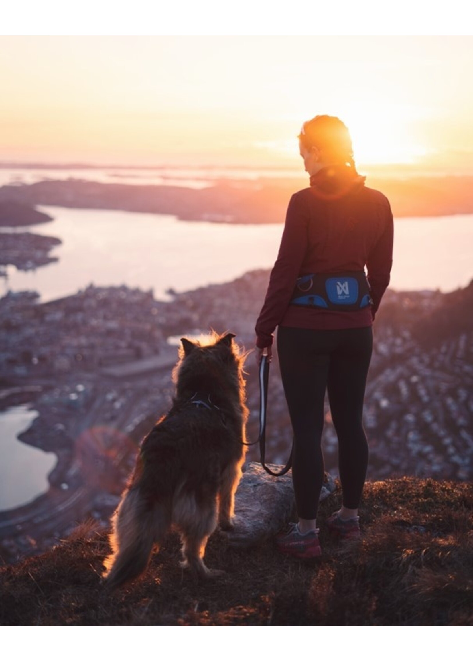 Non-Stop Dogwear FERD BELT