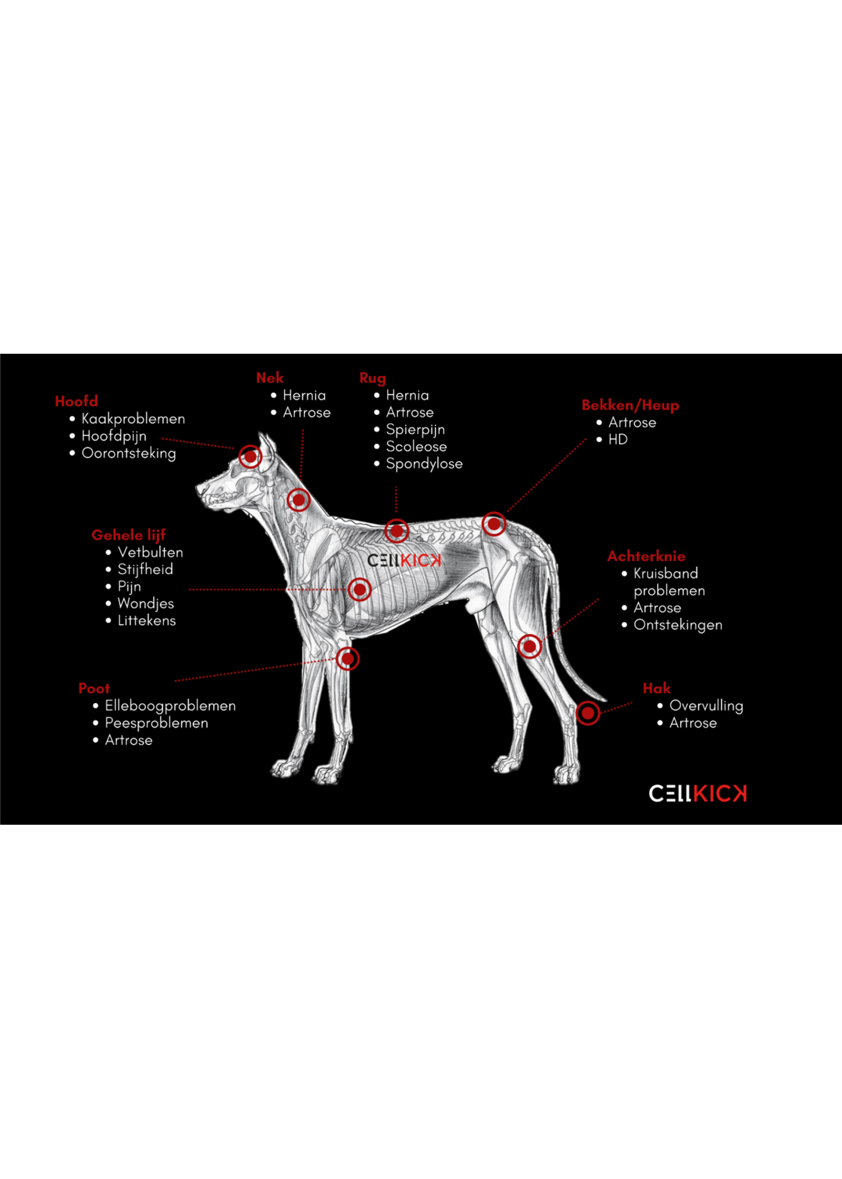 CellKick Low Level Laser- Red light therapy