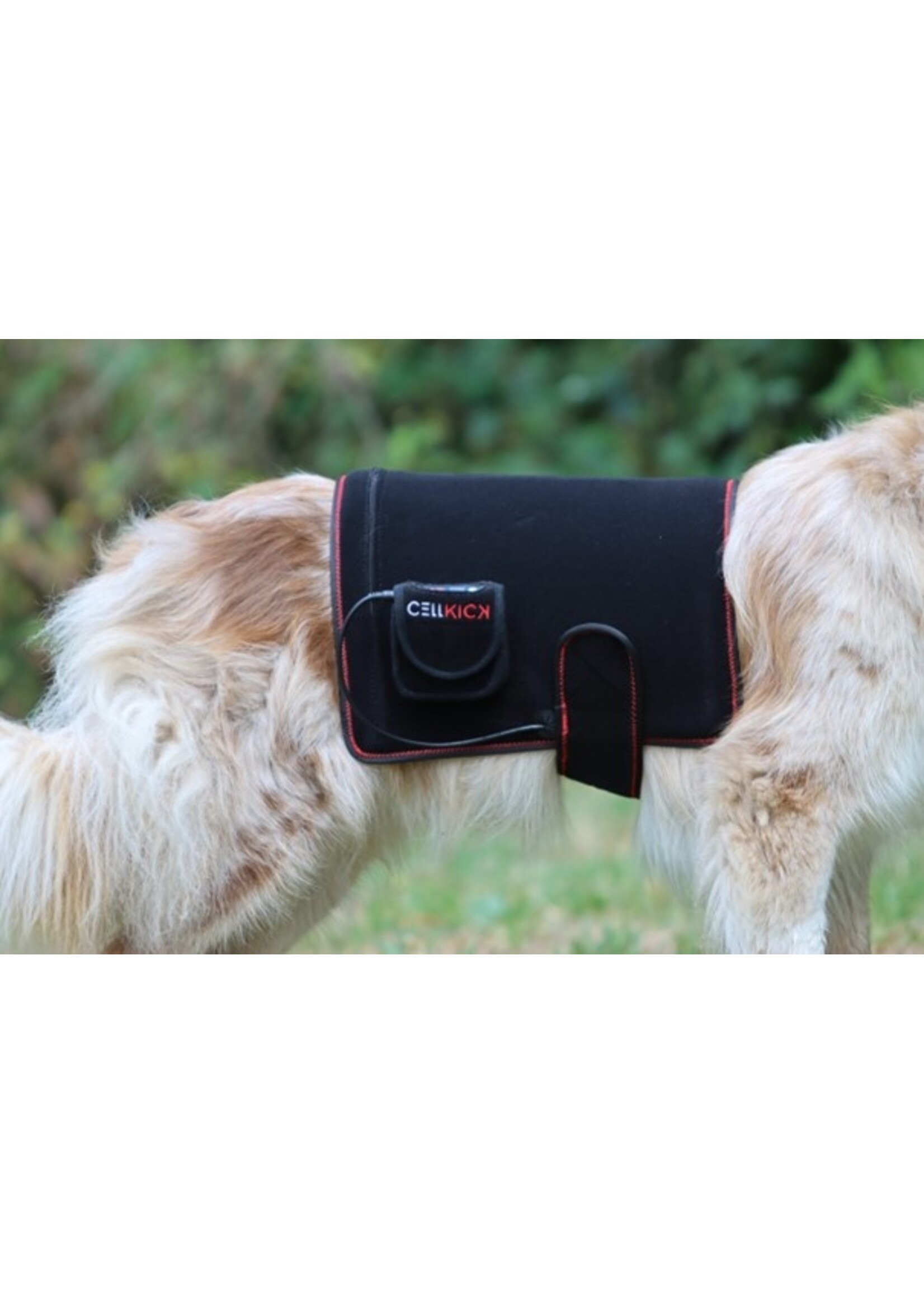 CellKick Dog Pad & Low Level Laser - Red Light Therapy - Combi (verwacht: 28 juli)