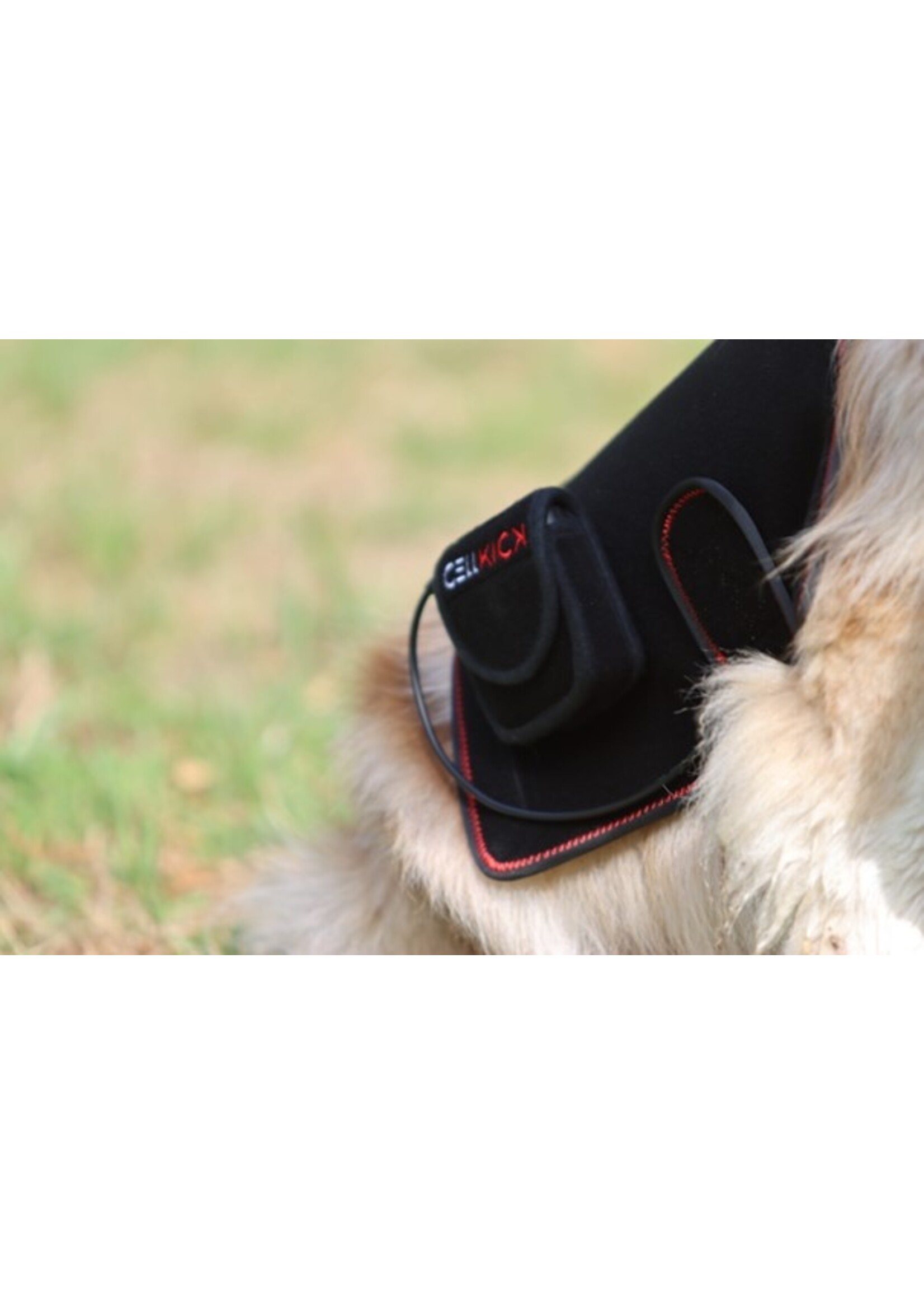 CellKick Dog Pad & Low Level Laser - Red Light Therapy - Combi