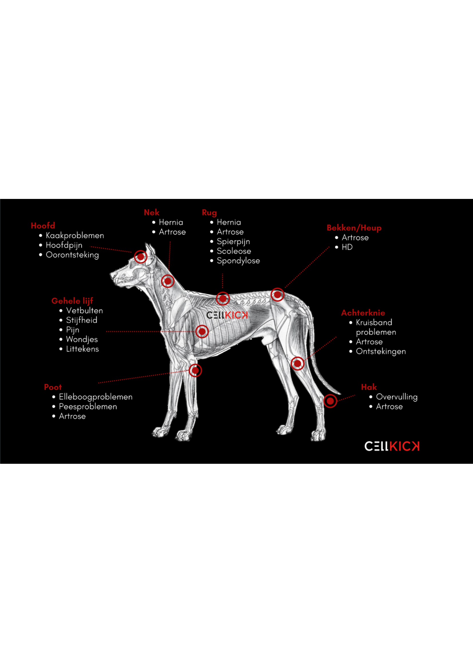 CellKick Hondenpad & Low Level Laser - Rood Licht Therapie - Combi