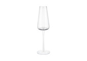 BELO champagne glass (set/2)