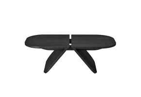 AVIO salontafel Black Oak 100 x 54 cm