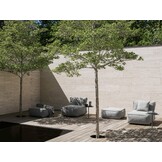 Blomus GROW Kissen Stone Boucle 38x38 cm