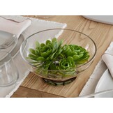 Blomus MIYABI vaas Clear laag