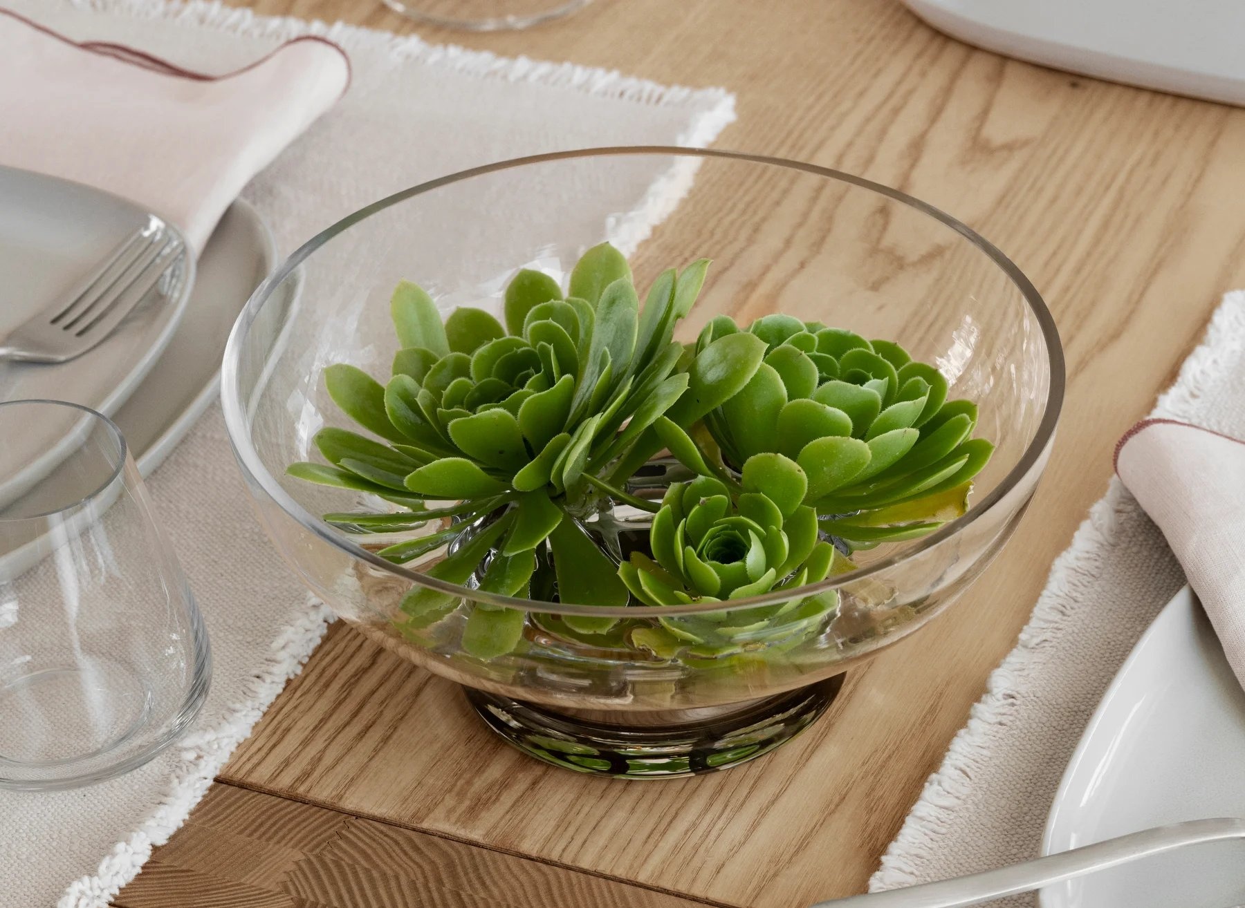 Blomus MIYABI vase Clear low