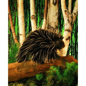 Stekelvarken handpop