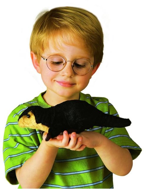 Rivierotter vingerpopje