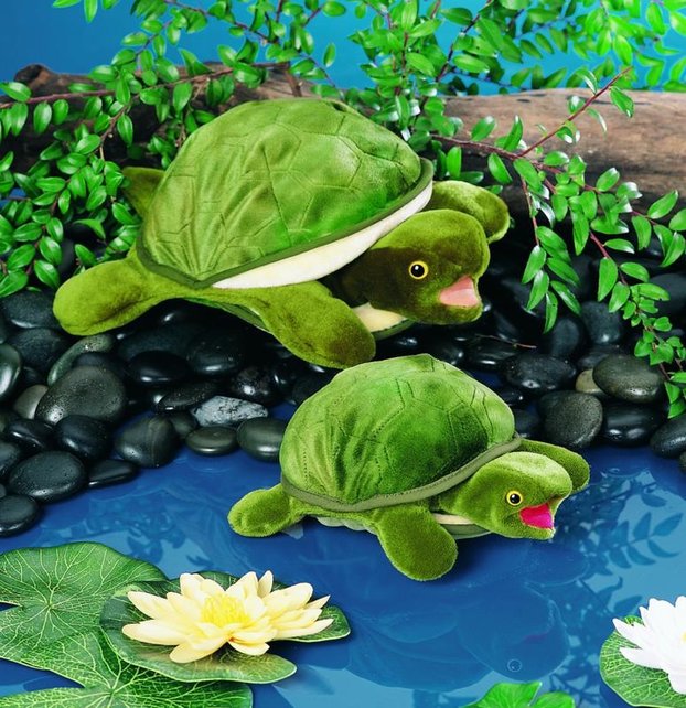 Baby schildpad handpop