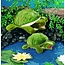 Folkmanis Baby waterschildpad handpop