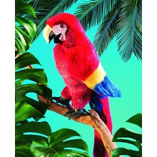 Ara papegaai handpop