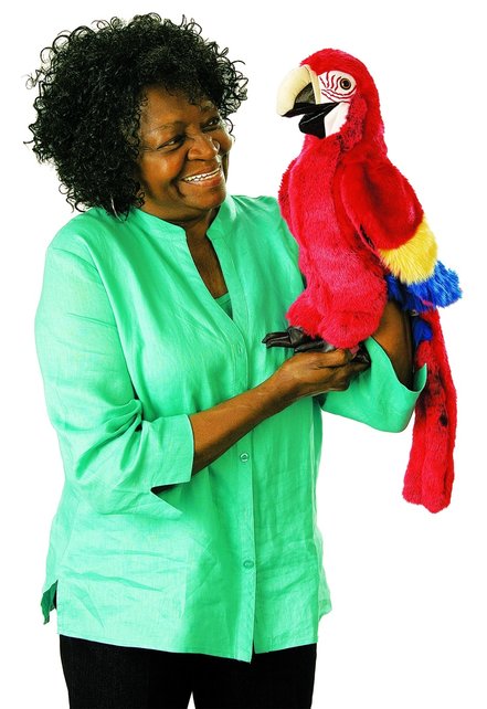 Ara papegaai handpop