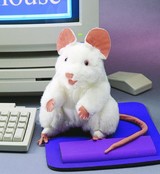 Witte muis handpop Witte muis handpop