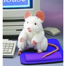 Witte muis handpop