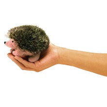 Egel vingerpopje