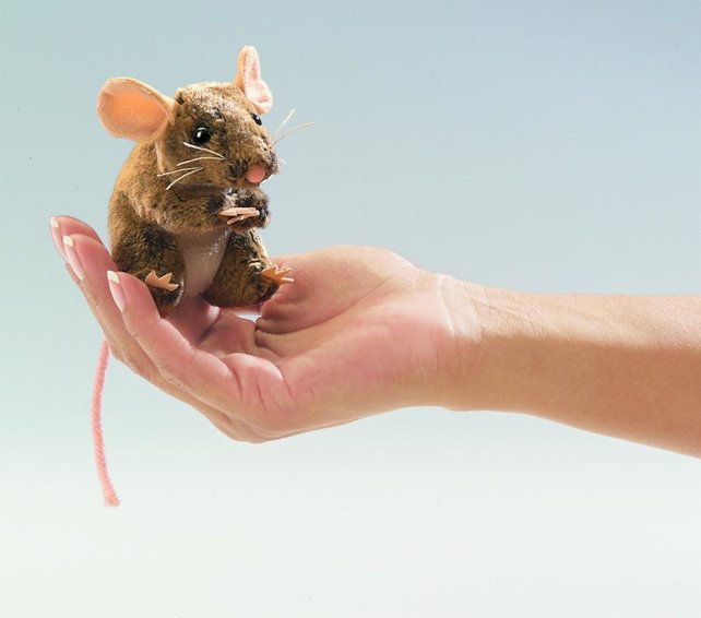 Veldmuis vingerpopje