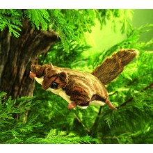 Vliegende eekhoorn handpop