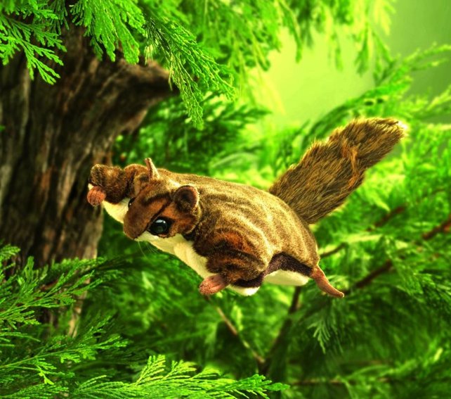 Vliegende eekhoorn handpop Vliegende eekhoorn handpop